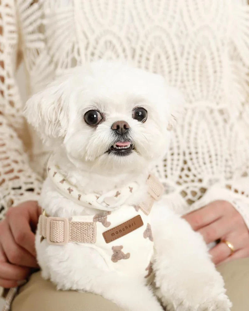 Teddy Bear Step-In Dog Harness - Image 4