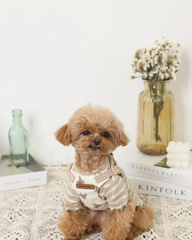 Teddy Bear Step-In Dog Harness - Image 7