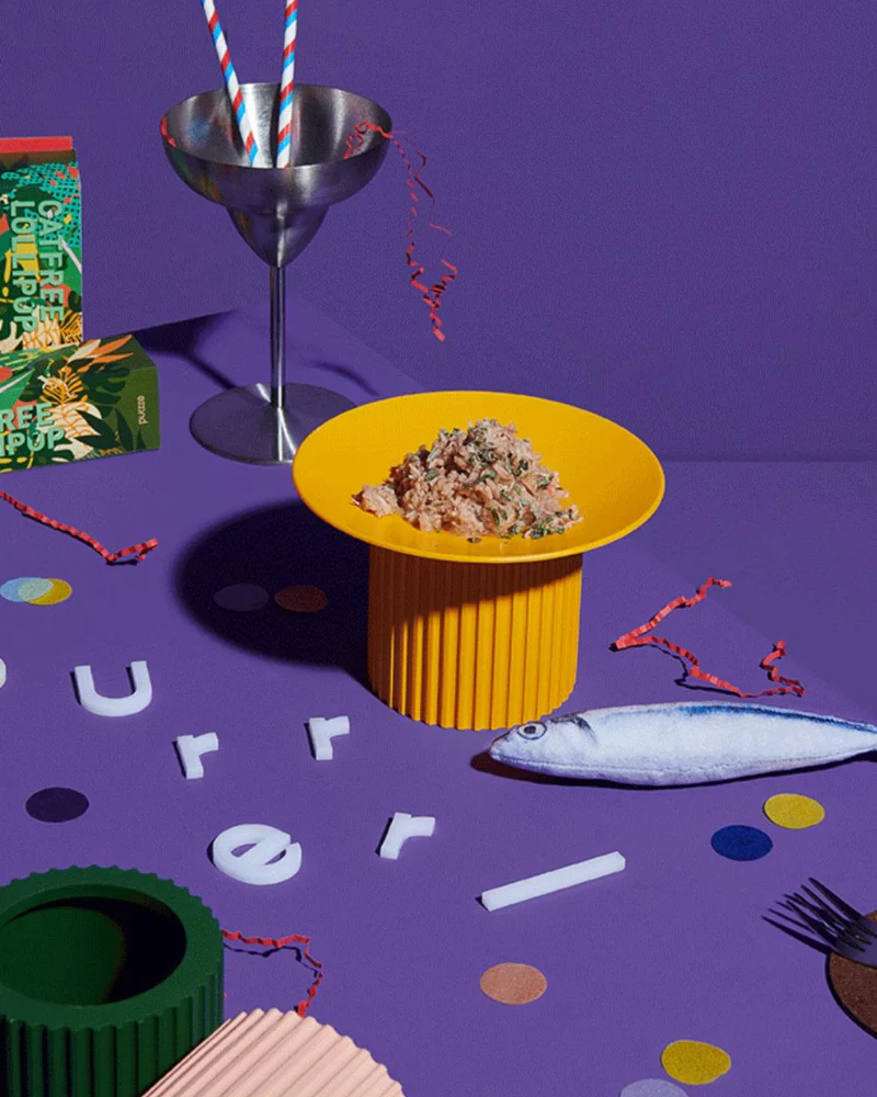 Teeth Party Elevated Pet Feeder (FINAL SALE)