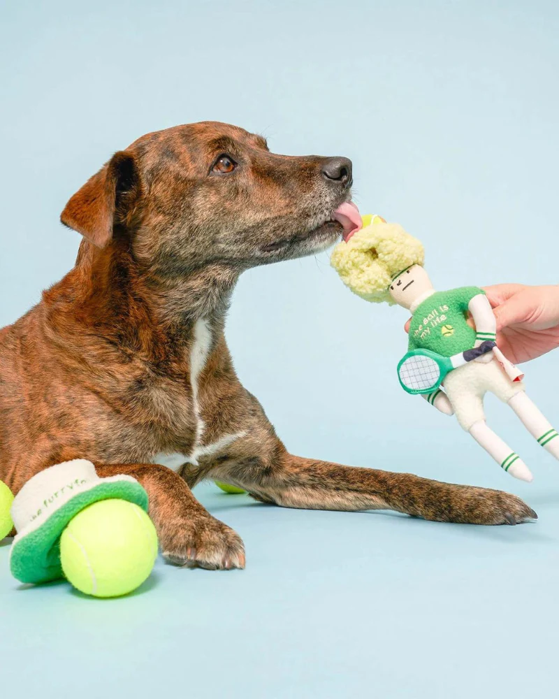 Tennis Hooman Nosework Dog Toy - Image 5
