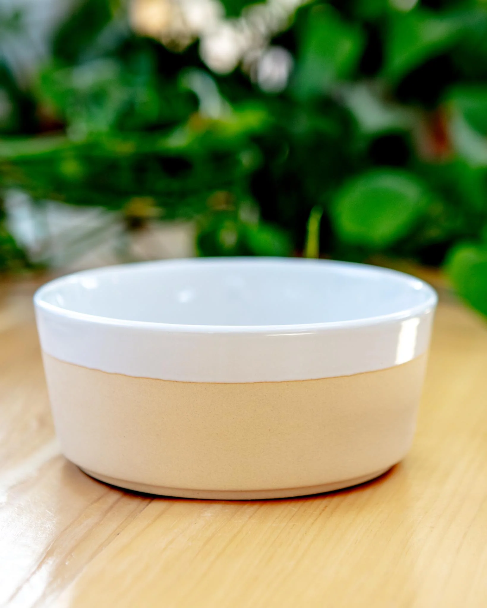 Textured Dipper Ceramic Dog Bowl in White (FINAL SALE) - Image 5
