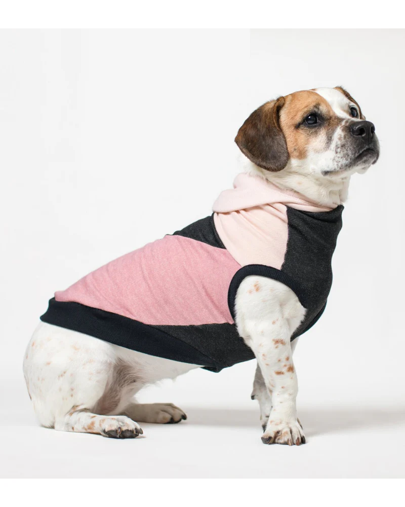 The Boombayah Cotton Hoodie for Long Dogs (Made in the USA) << FINAL SALE >>