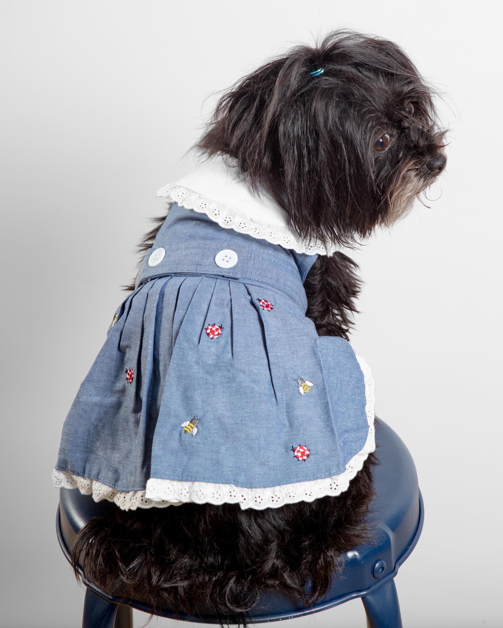 The Bugs + The Bees Chambray Dog Dress (FINAL SALE) - Image 2