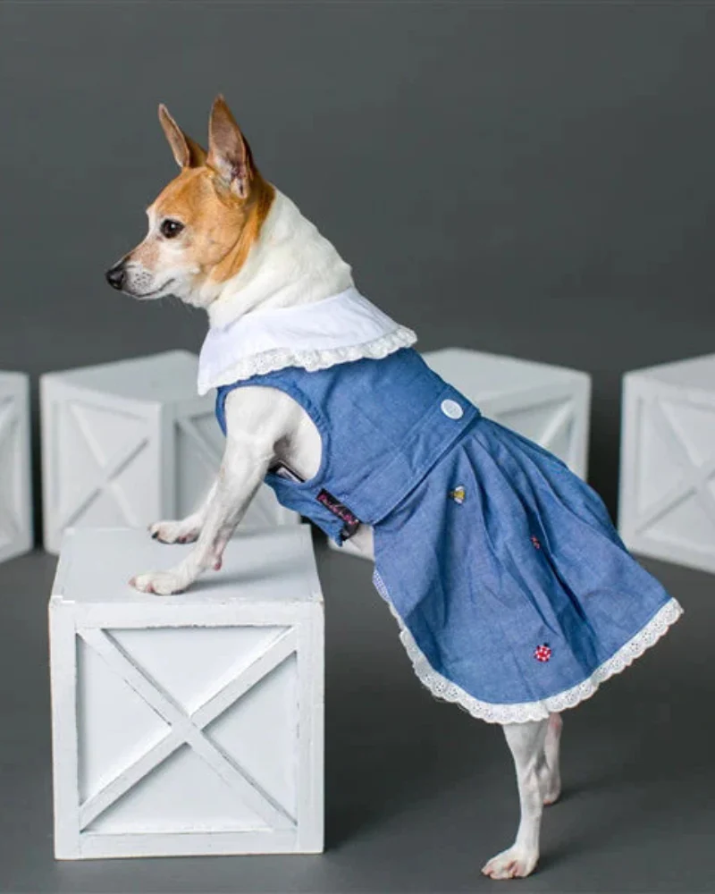 The Bugs + The Bees Chambray Dog Dress (FINAL SALE) - Image 3