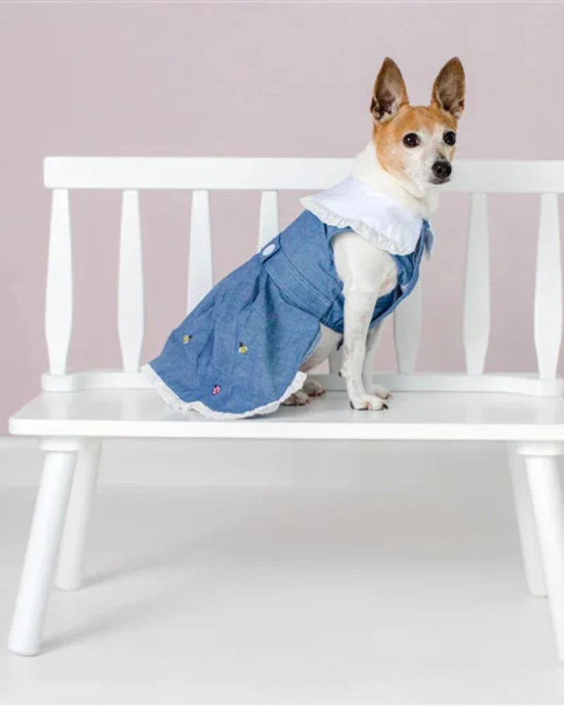 The Bugs + The Bees Chambray Dog Dress (FINAL SALE) - Image 4