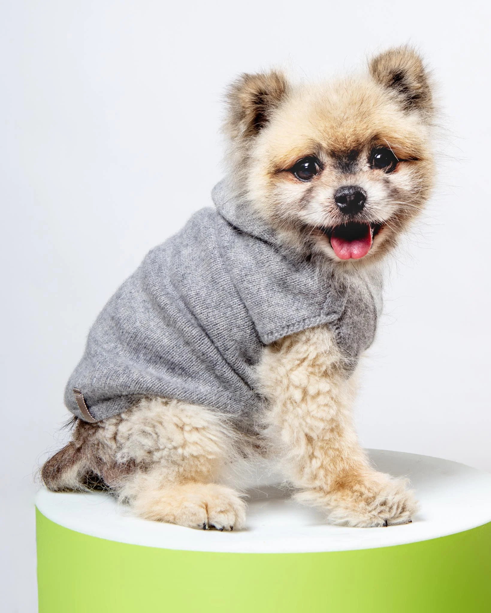 The Cashmere Dog Hoodie Dog & Co x Brochu Walker Exclusive - Image 2