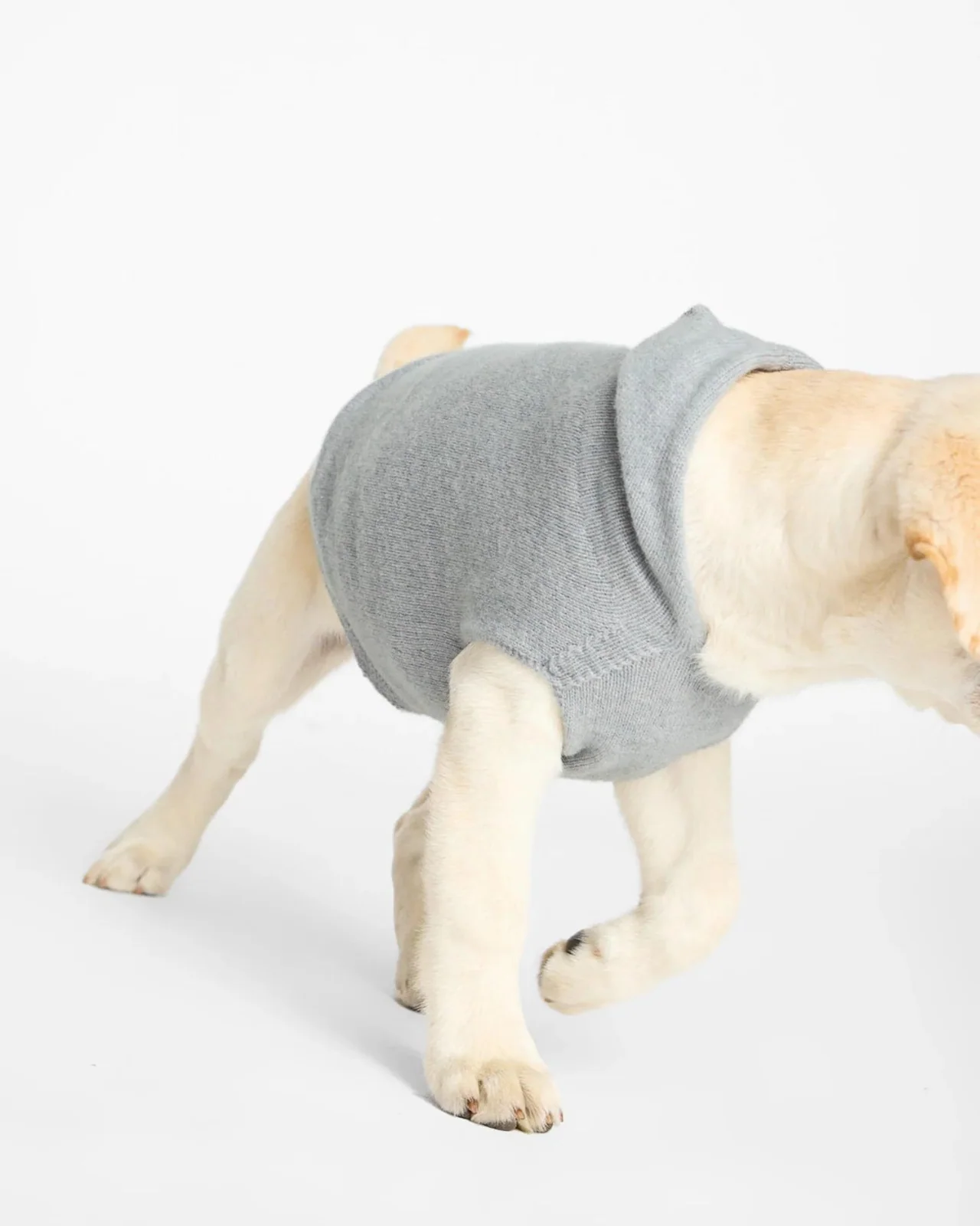 The Cashmere Dog Hoodie Dog & Co x Brochu Walker Exclusive - Image 7