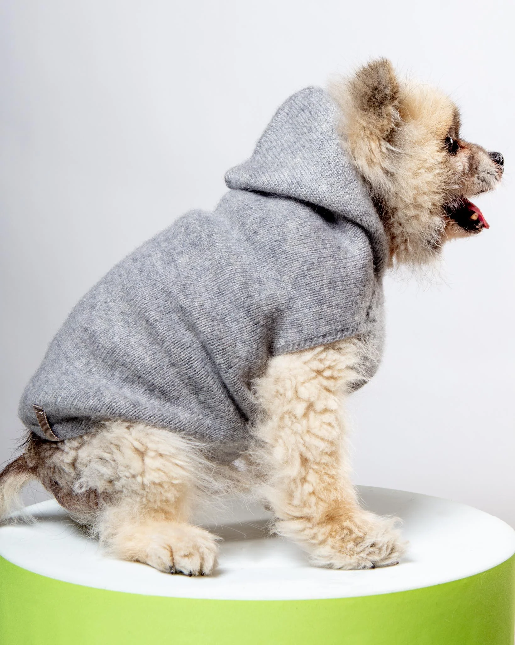 The Cashmere Dog Hoodie Dog & Co x Brochu Walker Exclusive - Image 8