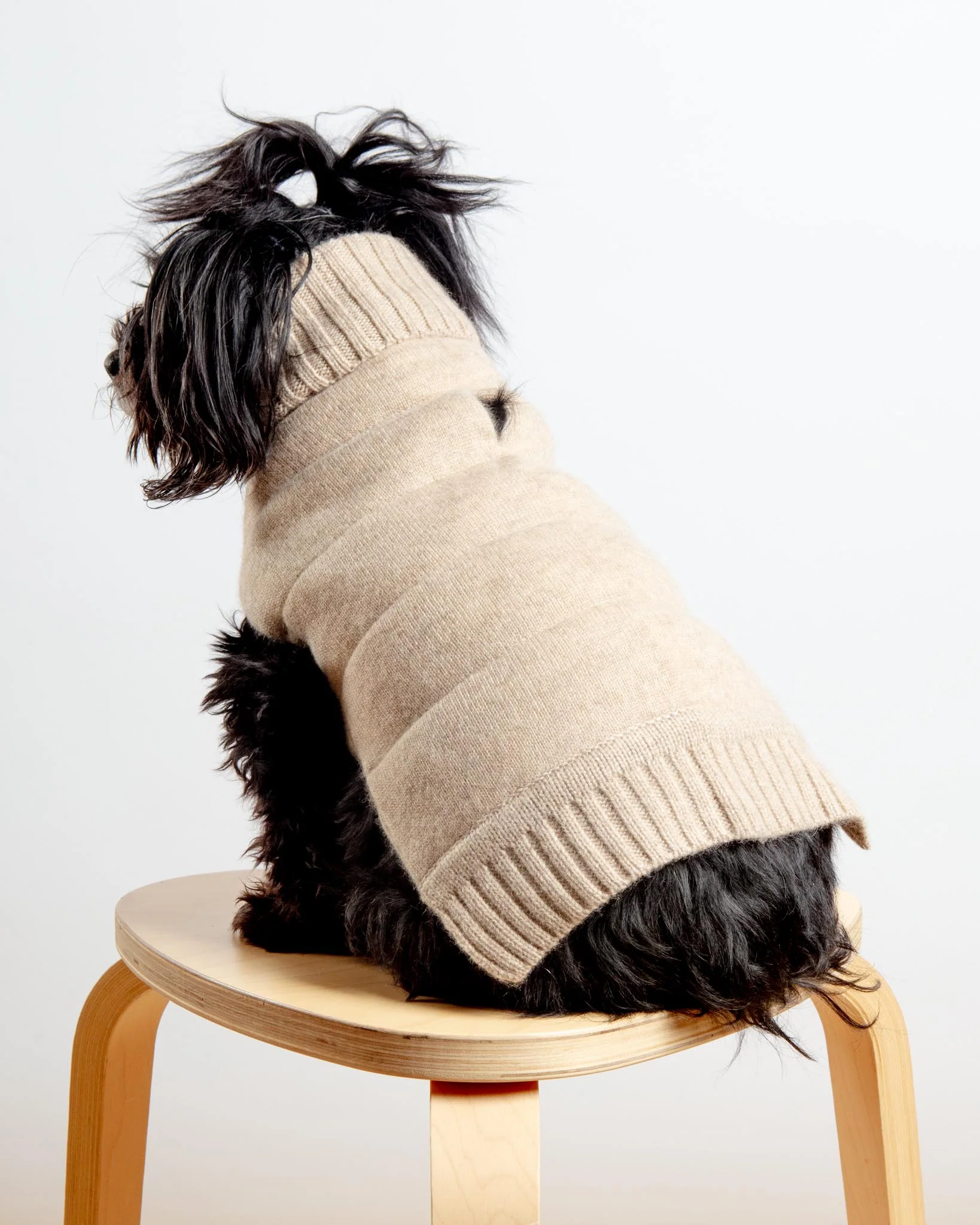 The Cashmere Puffer Dog Sweater in Tan - Image 2