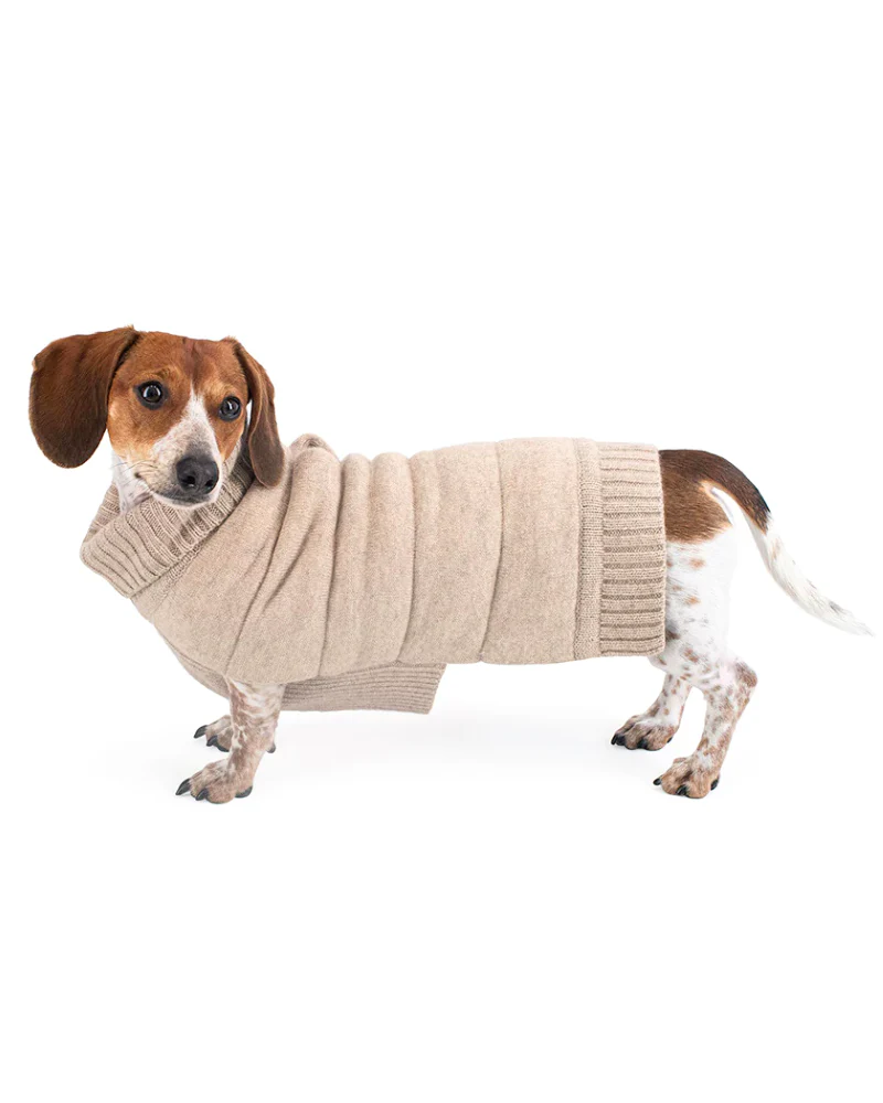 The Cashmere Puffer Dog Sweater in Tan - Image 3