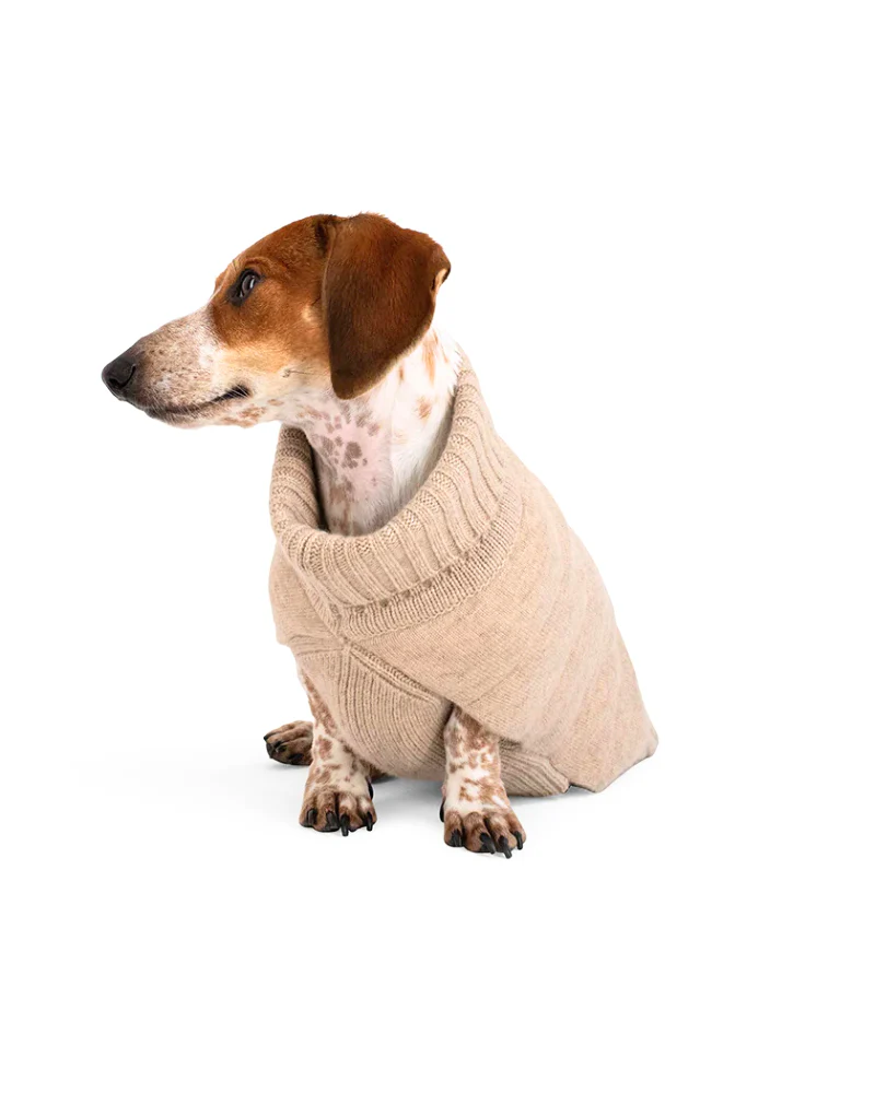 The Cashmere Puffer Dog Sweater in Tan - Image 4