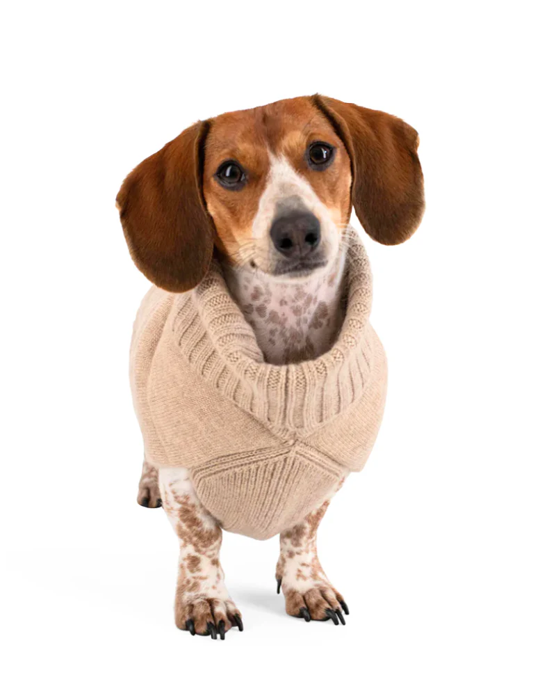 The Cashmere Puffer Dog Sweater in Tan - Image 5