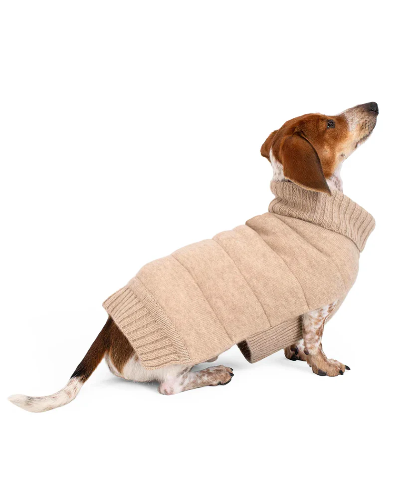 The Cashmere Puffer Dog Sweater in Tan - Image 6