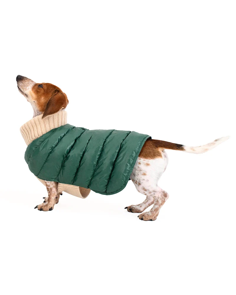 The Puffer Dog Sweater in Tan & Green - Image 4