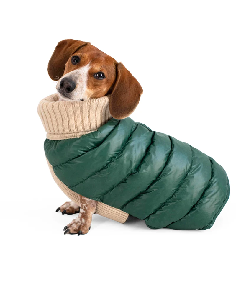 The Puffer Dog Sweater in Tan & Green - Image 5