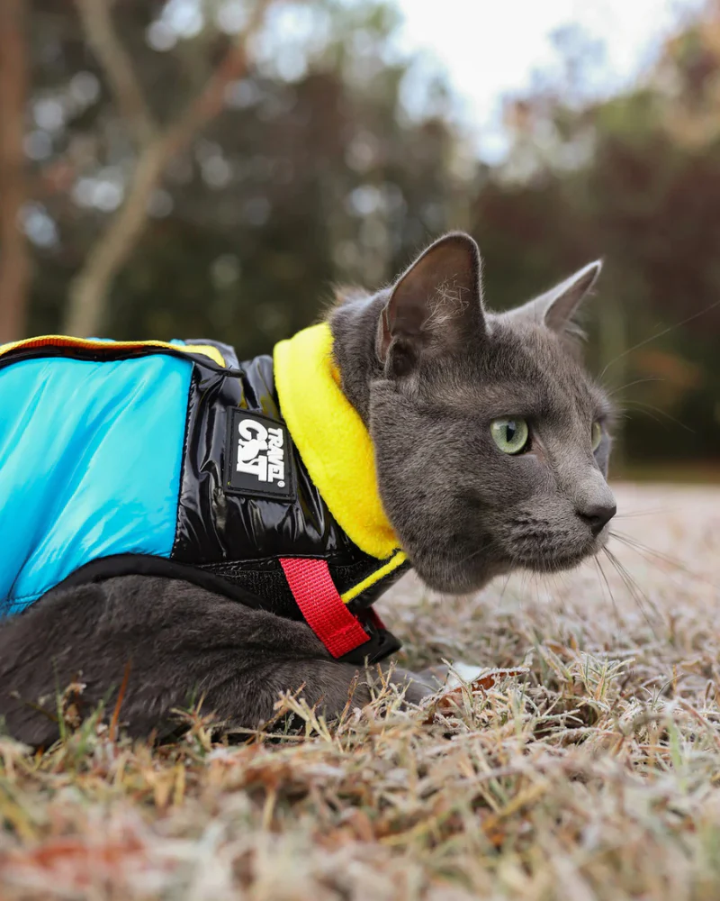 "The Catagonia" Water-Resistant Harness Puffer Jacket for Cats - Image 11