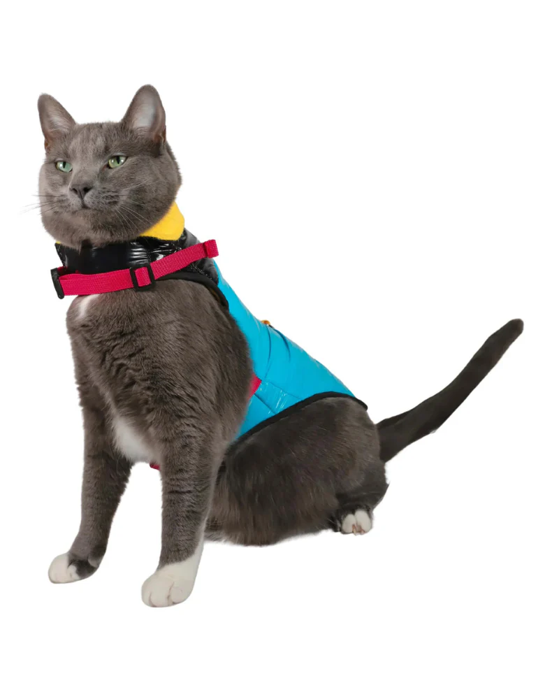 "The Catagonia" Water-Resistant Harness Puffer Jacket for Cats - Image 7
