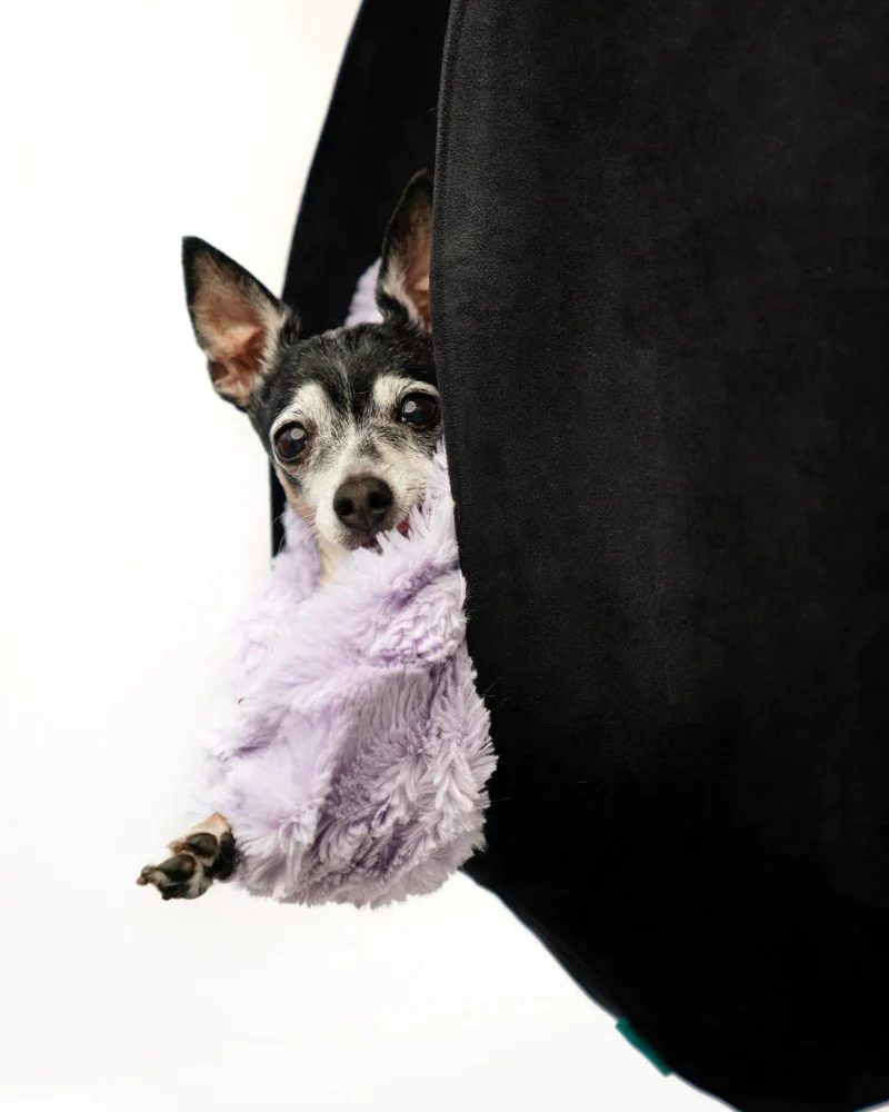 The SNUGGIT Crossbody Dog Sling in Clairence Black (FINAL SALE) - Image 3