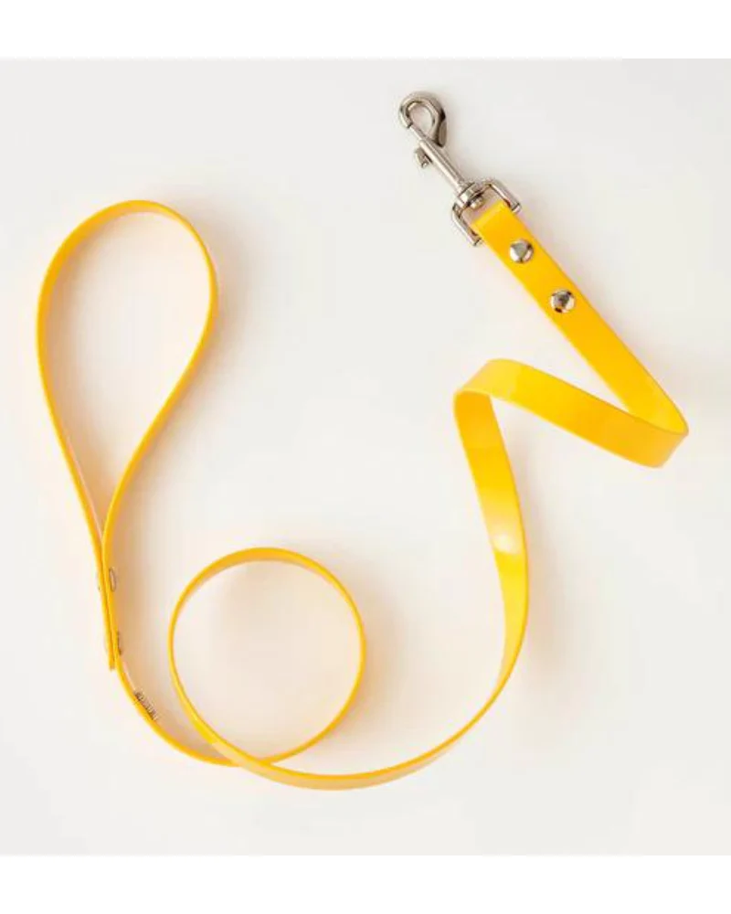 The Daisy Hydro Collar + Leash Set (Made in Canada) - Image 3