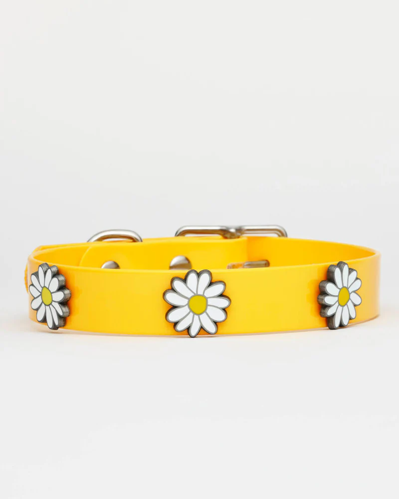 The Daisy Hydro Collar + Leash Set (Made in Canada) - Image 4