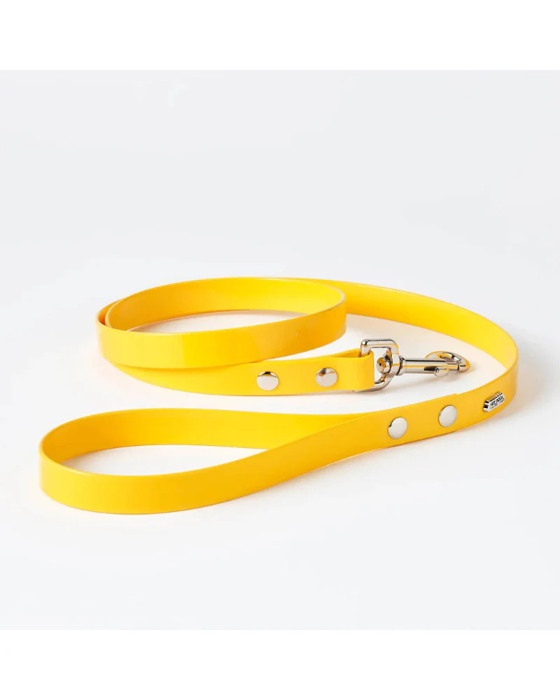 The Daisy Hydro Collar + Leash Set (Made in Canada) - Image 5