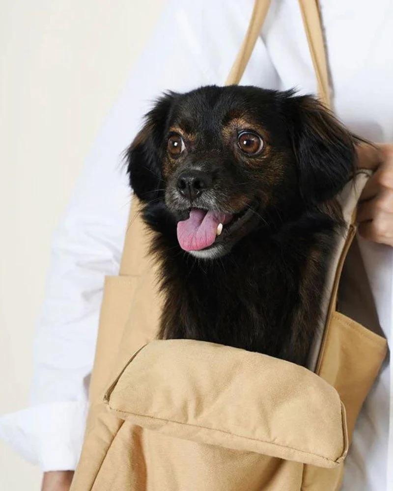 The Day Carrier Pet Tote (FINAL SALE) - Image 5