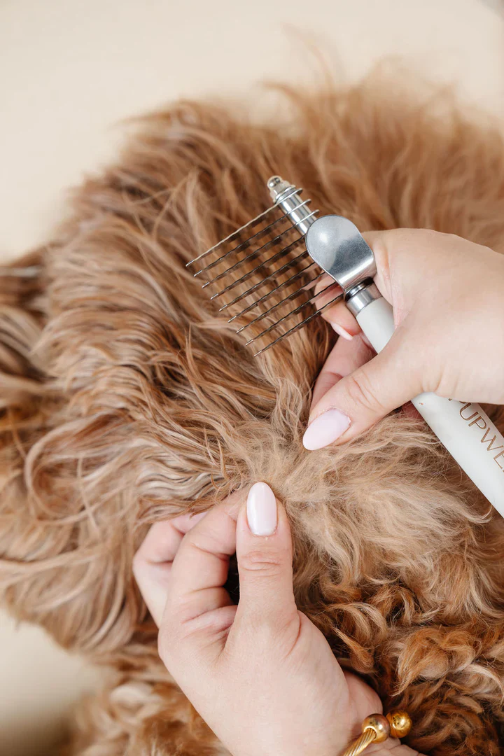 The Dematting Comb for Dogs - Image 10