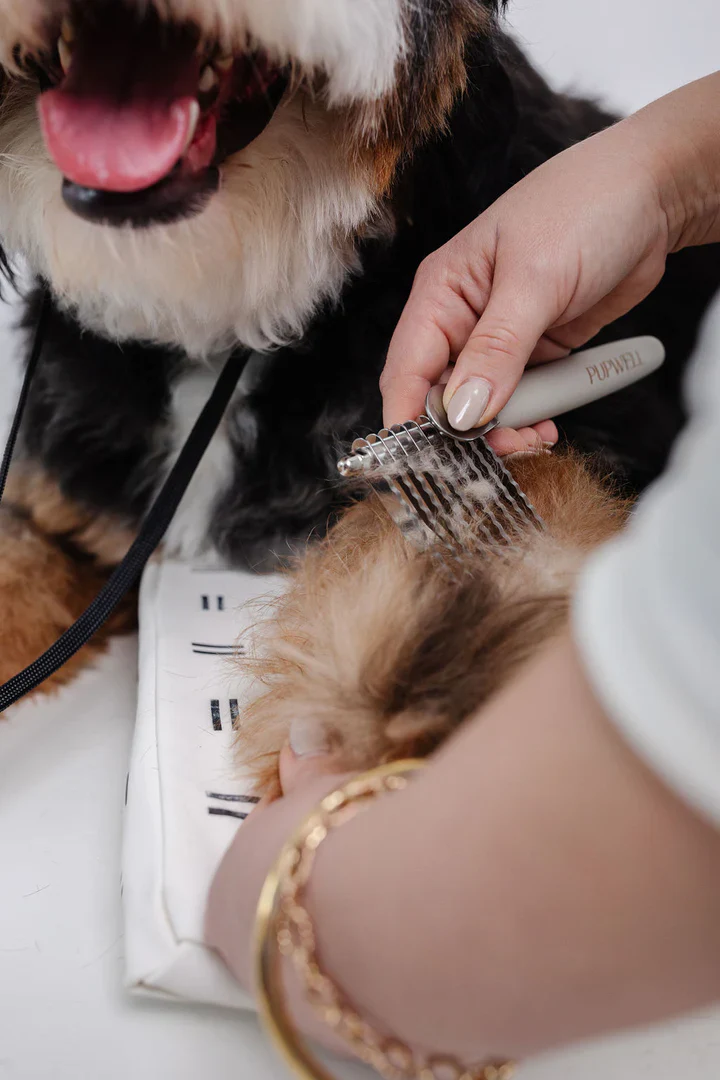 The Dematting Comb for Dogs - Image 11