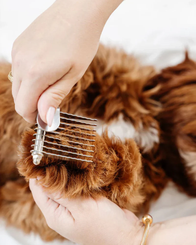 The Dematting Comb for Dogs - Image 2
