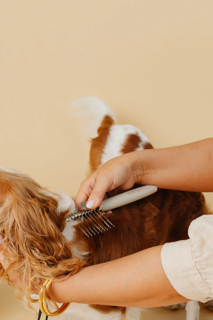 The Dematting Comb for Dogs - Image 3