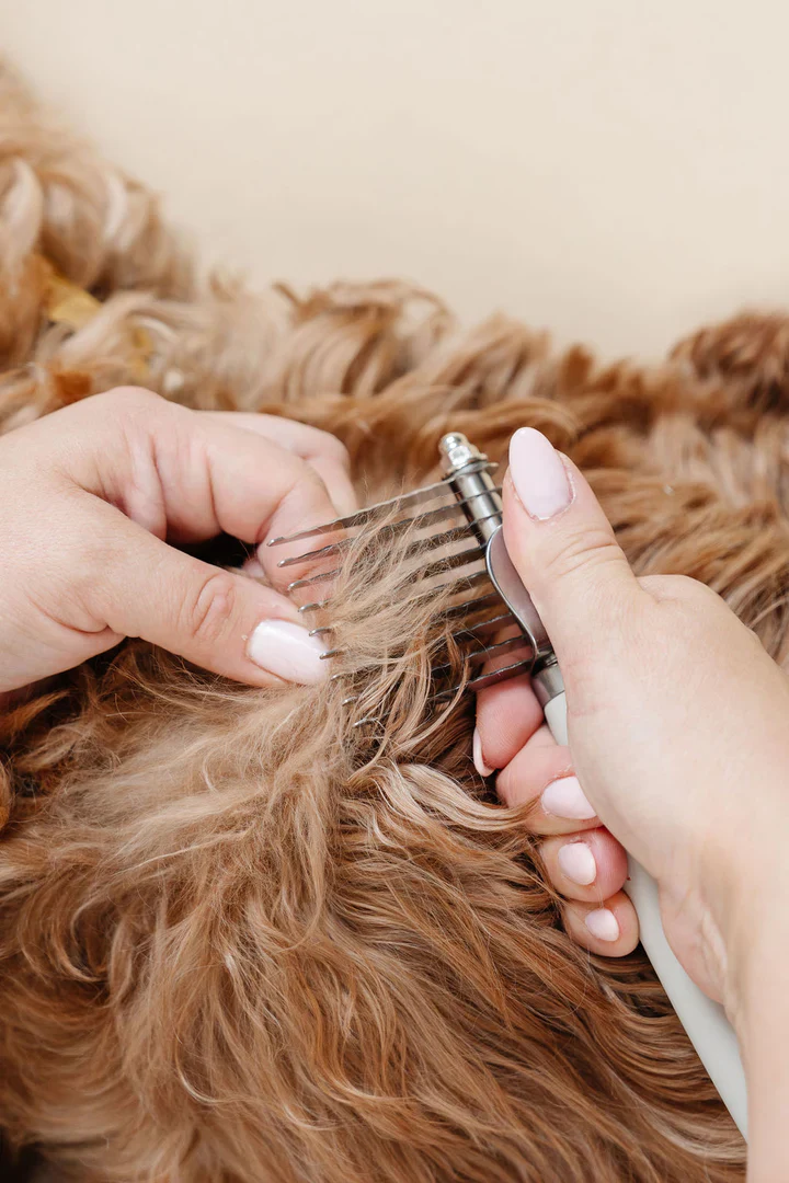 The Dematting Comb for Dogs - Image 8