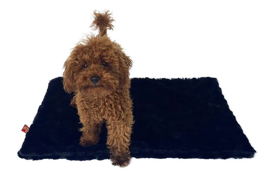 THE DOG SQUAD | Bella Blanket in Black