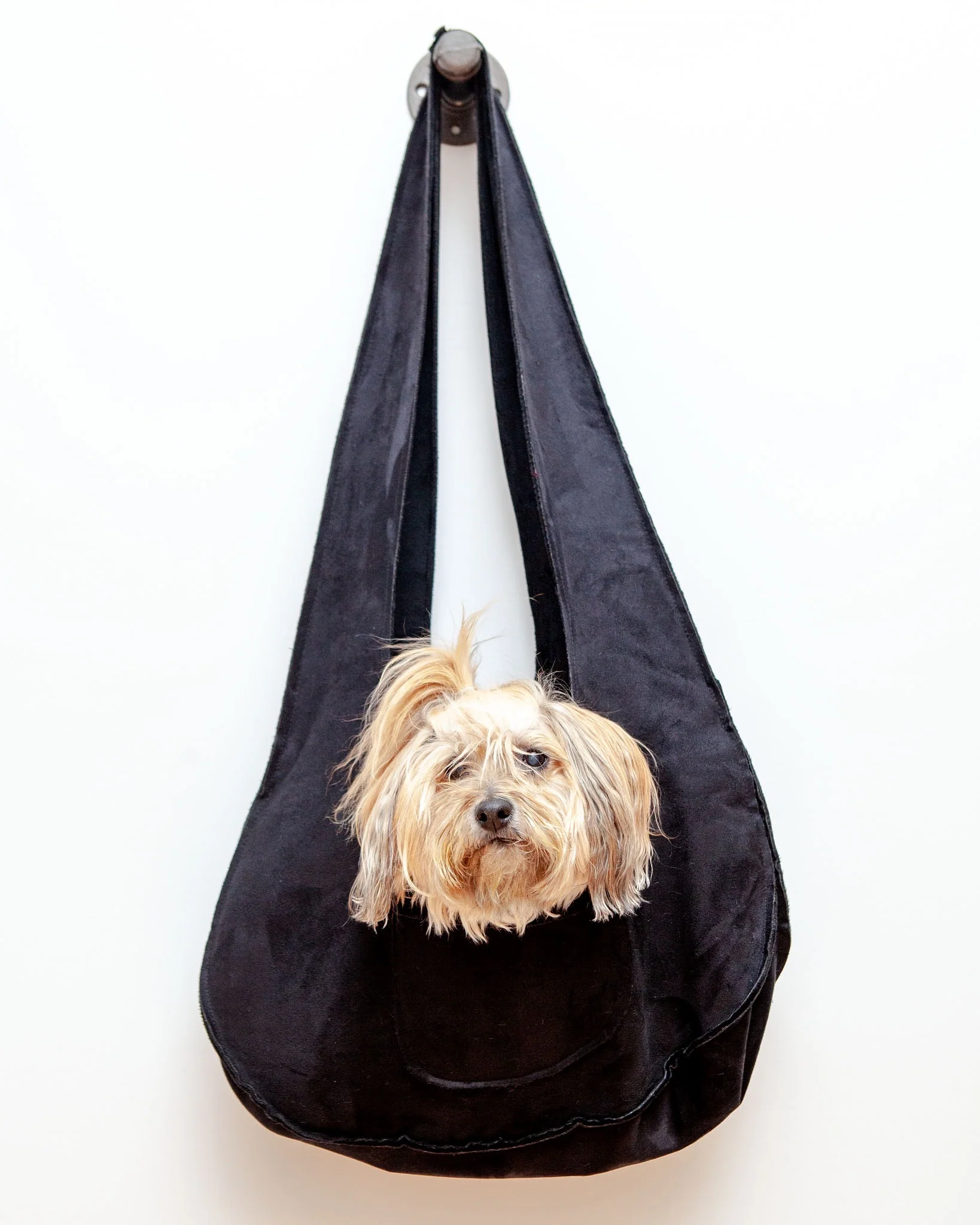 Boho Dog Sling Carrier Bag in Black (Made in the USA) (FINAL SALE) - Image 2