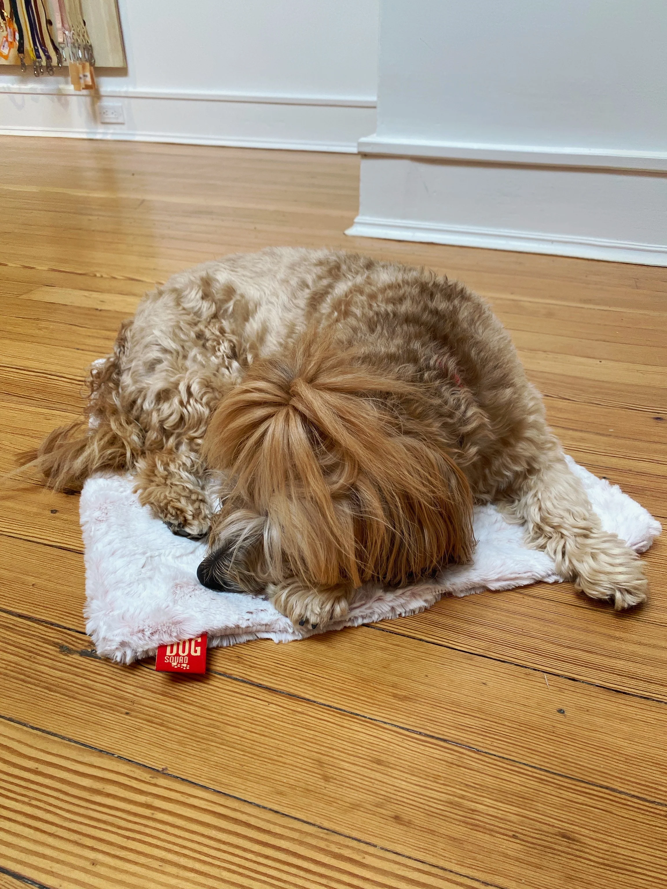 Frosted Rosewater Plush Dog Blanket - Image 4
