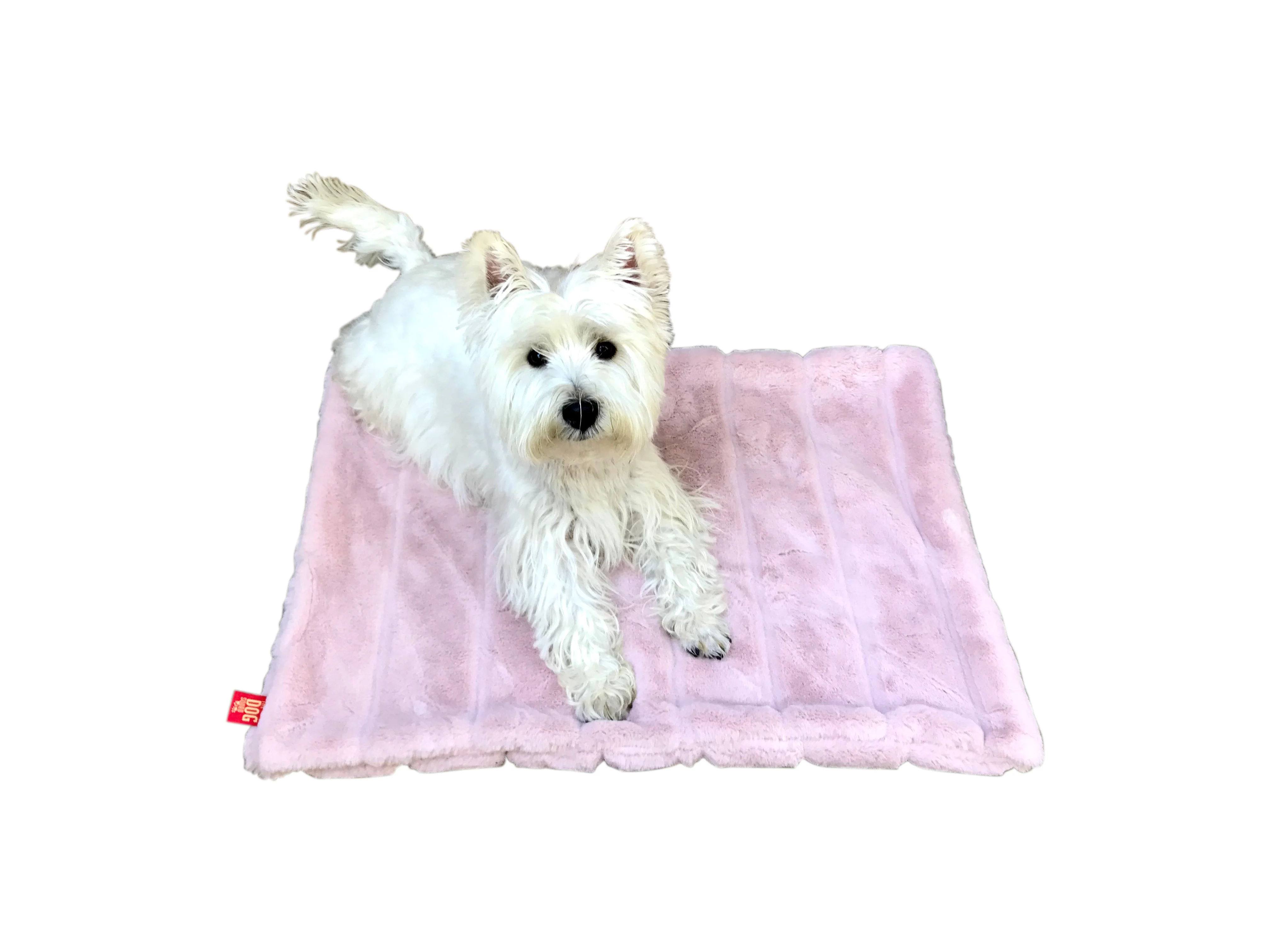 THE DOG SQUAD | Koala Blush Blanket
