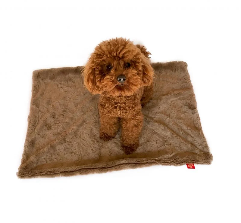 THE DOG SQUAD | Mocha Minkie Blanket - Image 4