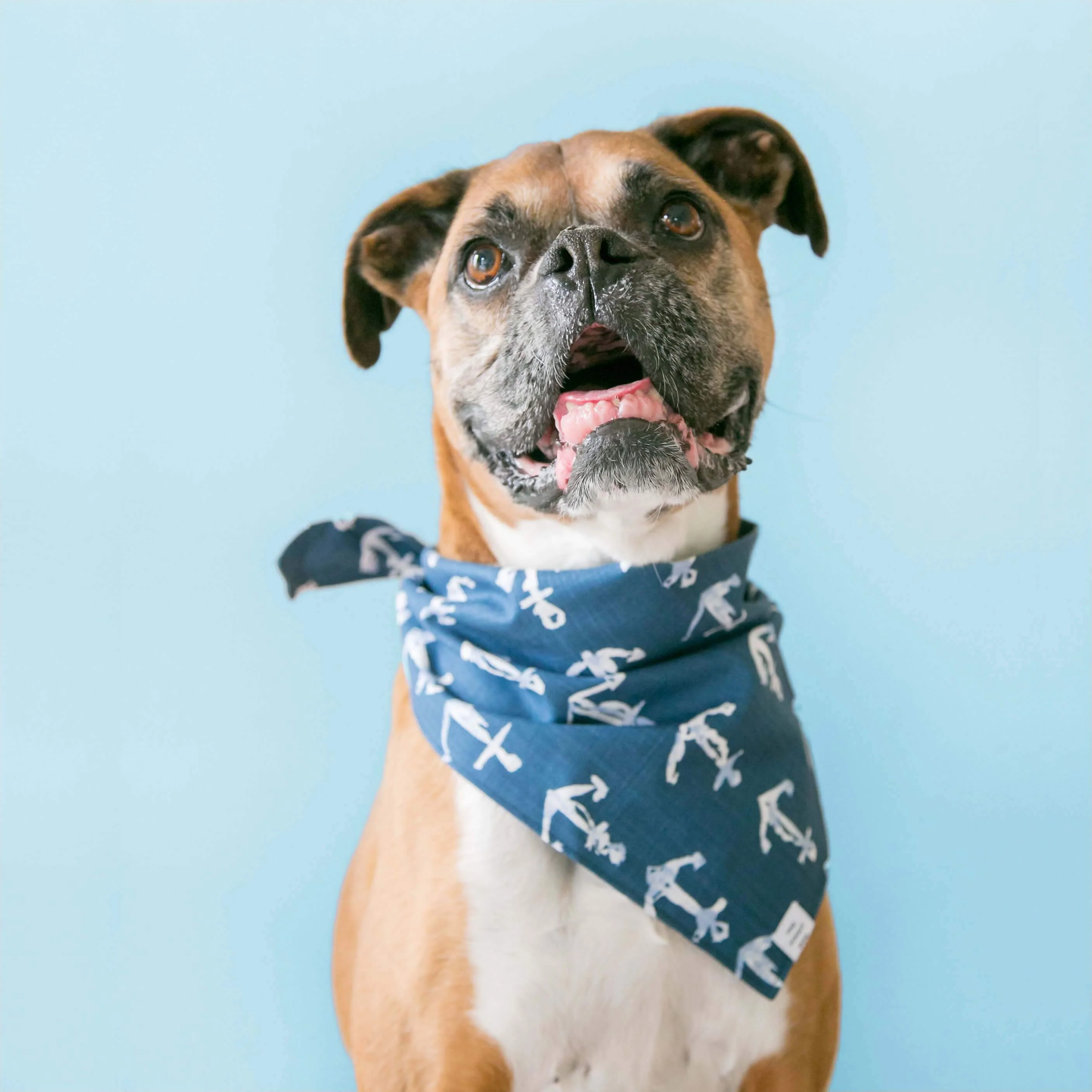 THE FOGGY DOG | Down by the Sea Bandana - Image 3
