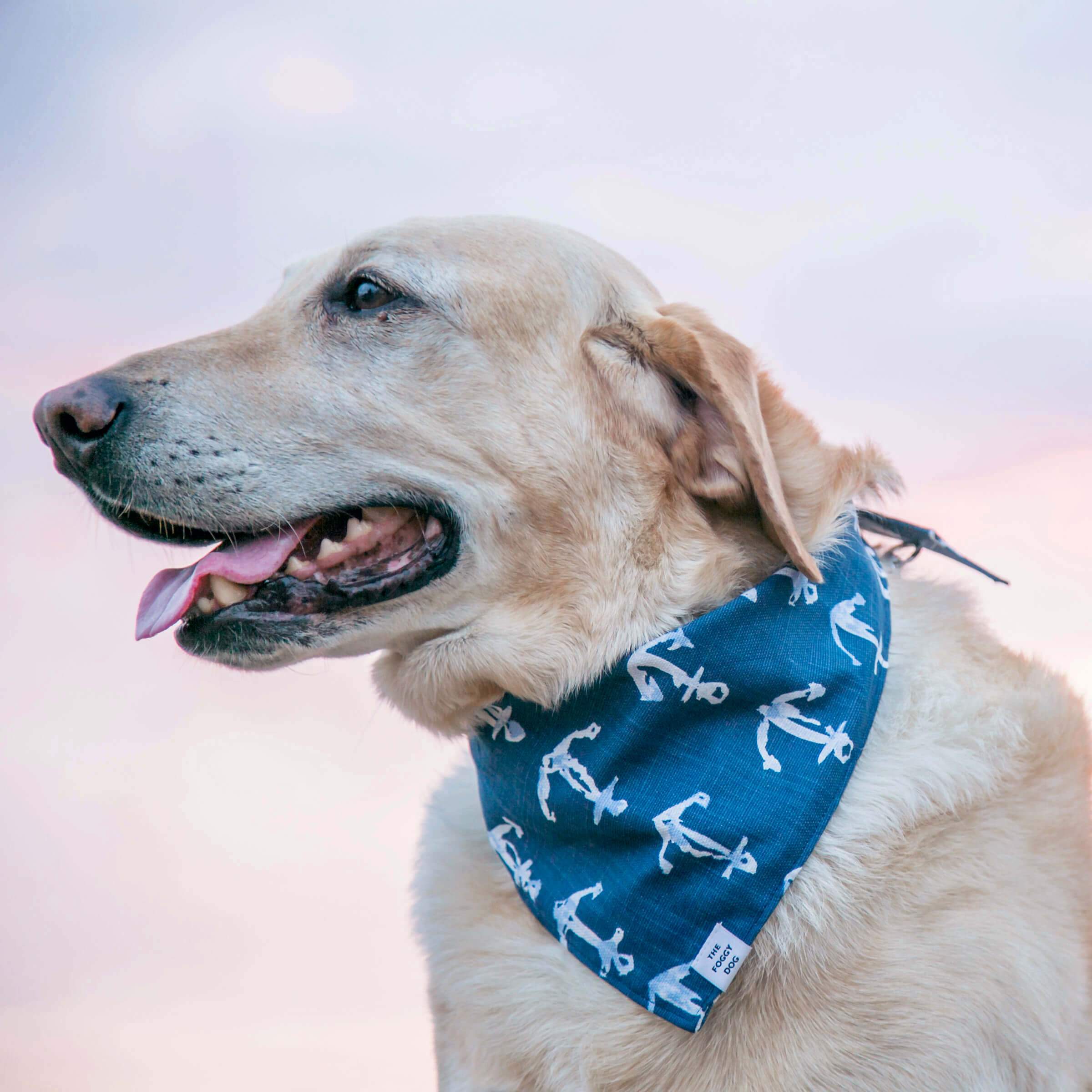 THE FOGGY DOG | Down by the Sea Bandana - Image 4