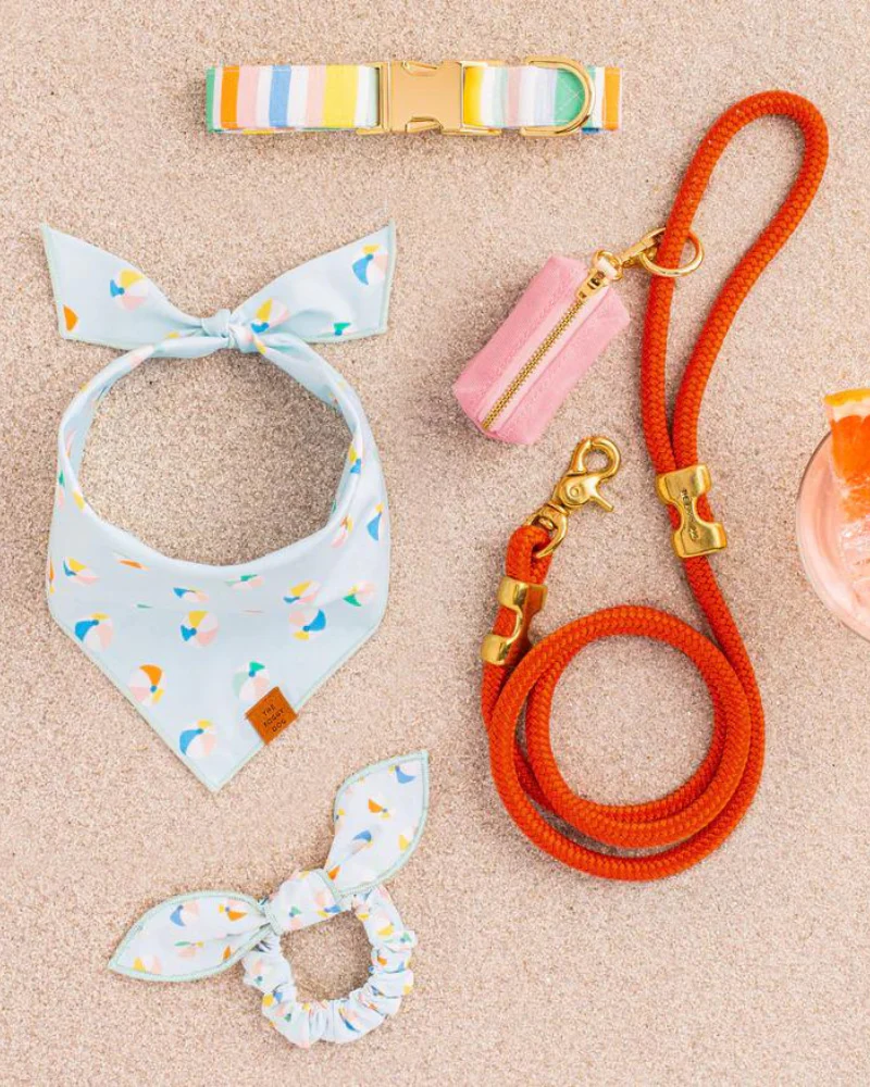 Beach Ball Dog Bandana<br>(Made in the USA) (FINAL SALE) - Image 4