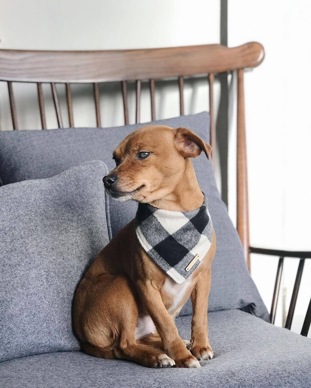 THE FOGGY DOG | Black and White Check Flannel Bandana - Image 2