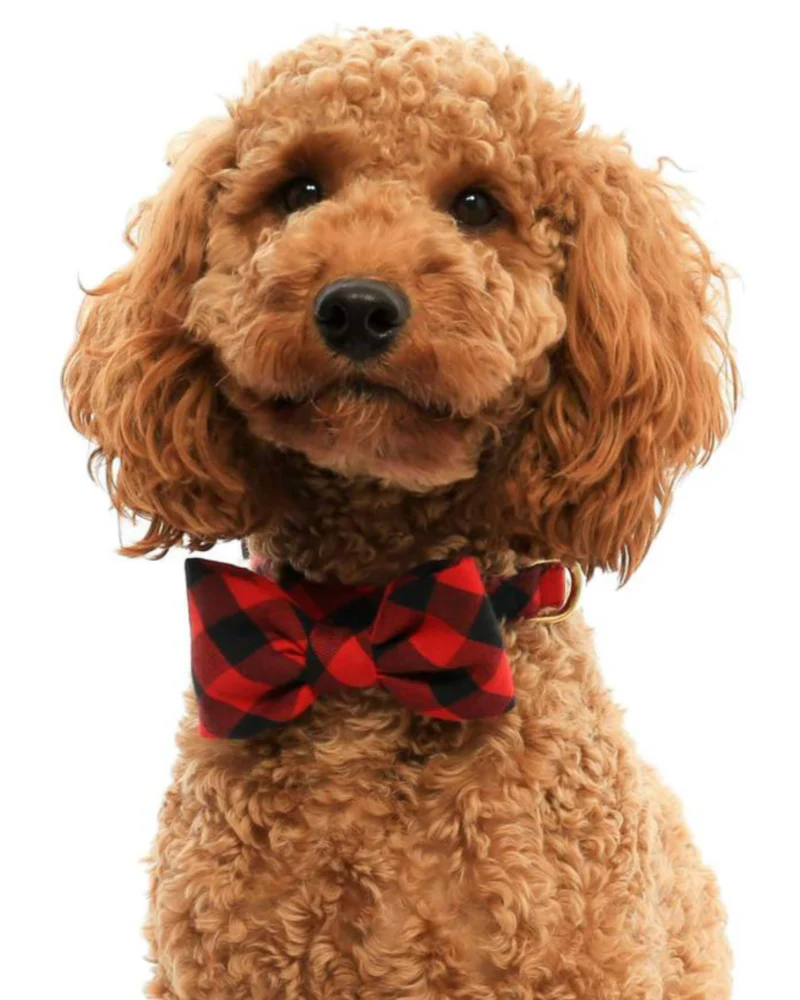 Buffalo Plaid Dog Bow Tie - Image 3