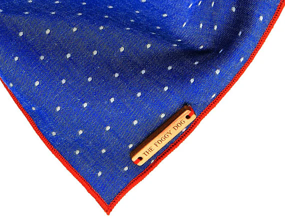 THE FOGGY DOG | Cambridge Pin Dot Dog Bandana - Image 2