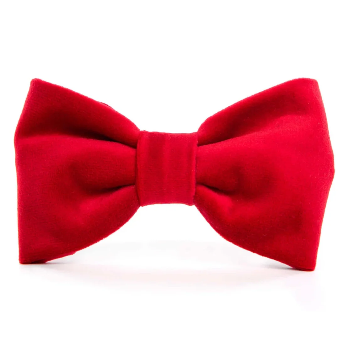 Cranberry Velvet Dog Bow Tie (Made in the USA) - Image 4