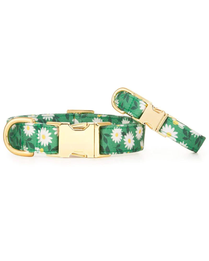 Coming Up Daisies Dog Collar<br>(Made in the USA) - Image 3