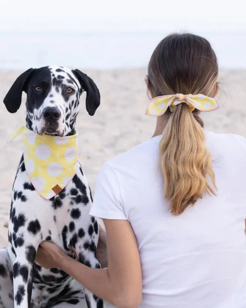 Fun in the Sun Dog Bandana (Made in the USA) (FINAL SALE) - Image 3