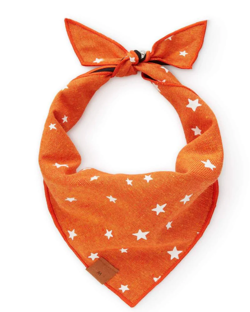 Going Batty Reversible Dog Bandana (Made in the USA) - Image 2