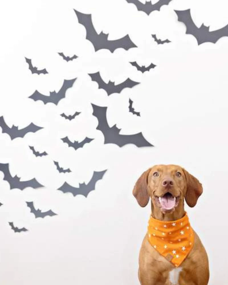 Going Batty Reversible Dog Bandana (Made in the USA) - Image 4