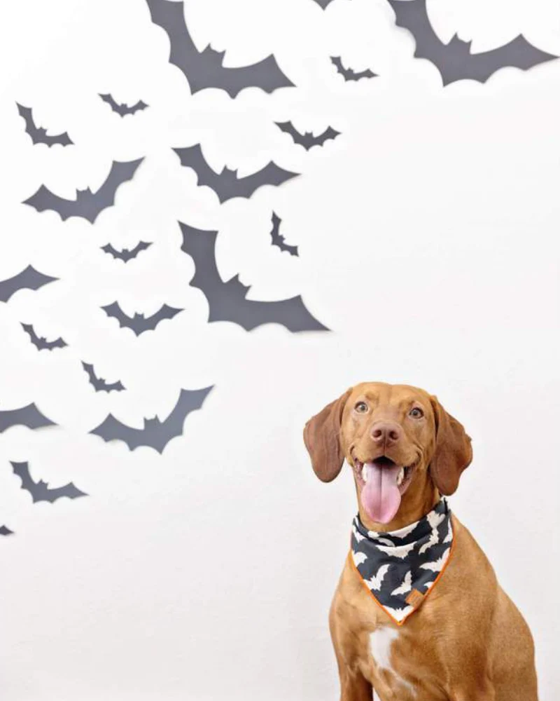 Going Batty Reversible Dog Bandana (Made in the USA) - Image 5