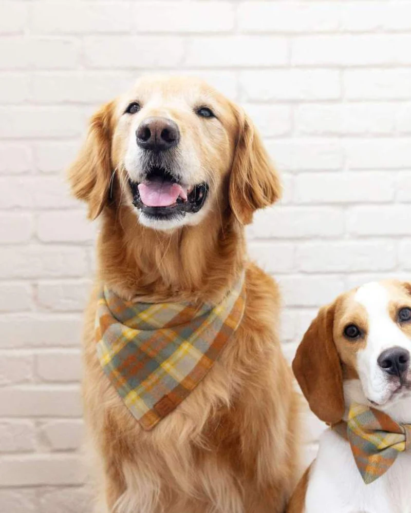 Harvest Plaid Flannel Dog Bandana (Made in the USA) - Image 3