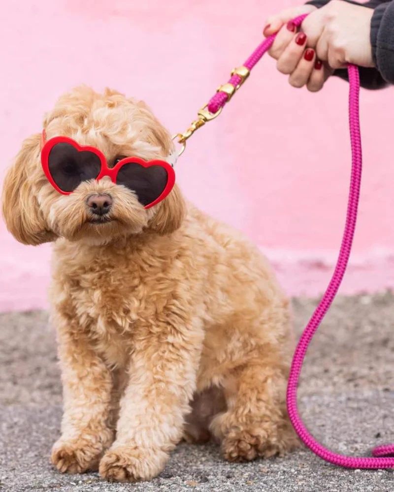 Hot Pink Marine Rope Dog Leash (Made in the USA) - Image 6